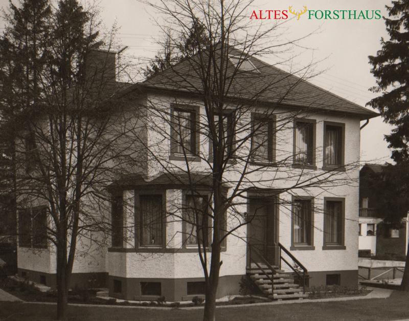 Bed and Breakfast Altes Forsthaus Manderscheid Exteriér fotografie